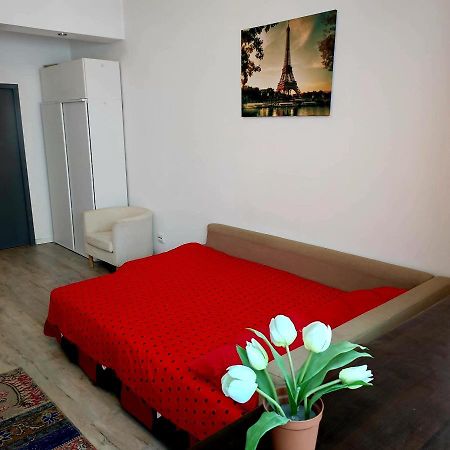 Garsoniera Centrul Bucurestiuluiアパートメント エクステリア 写真