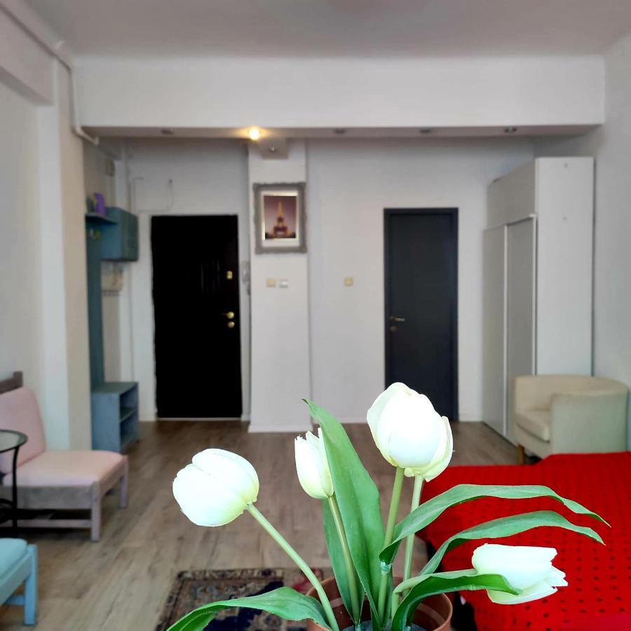 Garsoniera Centrul Bucurestiuluiアパートメント エクステリア 写真