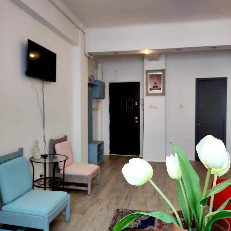 Garsoniera Centrul Bucurestiuluiアパートメント エクステリア 写真