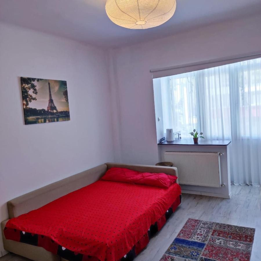 Garsoniera Centrul Bucurestiuluiアパートメント エクステリア 写真