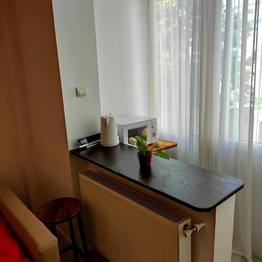 Garsoniera Centrul Bucurestiuluiアパートメント エクステリア 写真